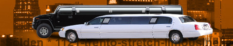 Private transfer from Sölden to Trento with Stretch Limousine (Limo)
